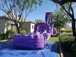 40ft Purple Monster Dual Lane Water Slide