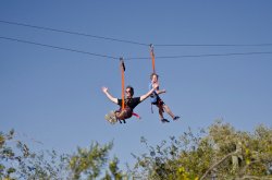 Flywire Zipline