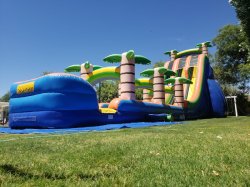 22ft Tropical Rush Dual Lane Water Slide