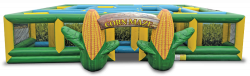 Corn Maze