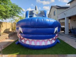 18ft Shark Tank Water Slide