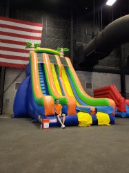 27ft Tropical Rush Dual Lane Dry Slide