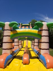 22ft Tropical Rush Dual Lane Water Slide