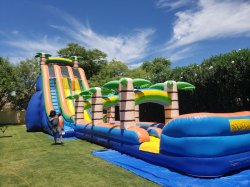 22ft Tropical Rush Dual Lane Water Slide