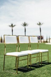 Dining Chair - Jasper - Gold Frame/White Pad