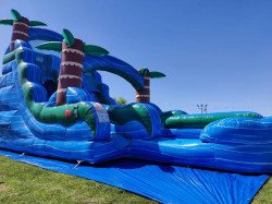 20ft Blue Tropical Rush Double Lane Dry Slide