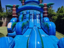 20ft Blue Tropical Rush Double Lane Water Slide