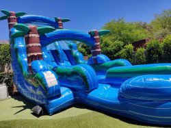 20ft Blue Tropical Rush Double Lane Water Slide