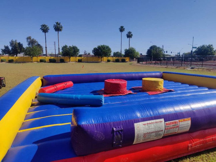 Inflatable Joust