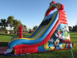 20ft Mickey Mouse Dual Dry Slide