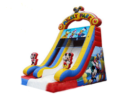 20ft Mickey Mouse Dual Dry Slide