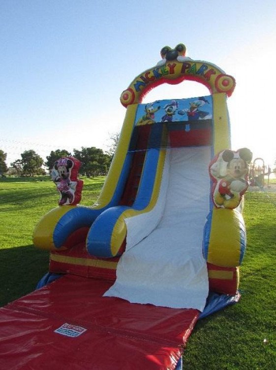 20ft Mickey Mouse Dual Dry Slide