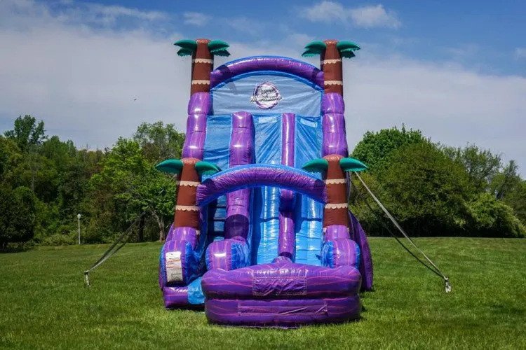 24ft Purple Hurricane Double Lane Water Slide