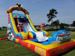 20ft Mickey Mouse Dual Water Slide Pool