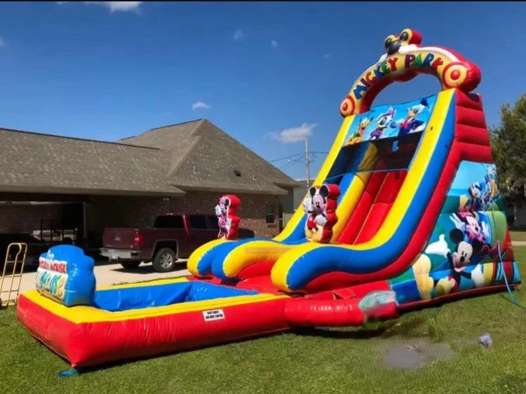 20ft Mickey Mouse Dual Water Slide Pool