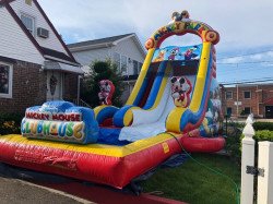 20ft Mickey Mouse Dual Water Slide Pool