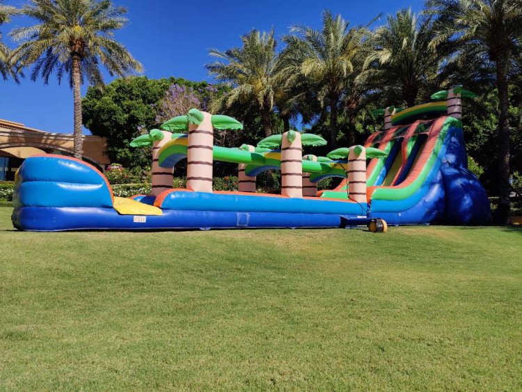 22ft Tropical Rush Dual Lane Water Slide