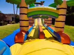 27ft Tropical Rush Dual Lane Water Slide