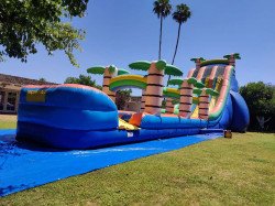 27ft Tropical Rush Dual Lane Water Slide