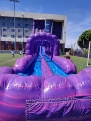 40ft Purple Monster Dual Lane Water Slide