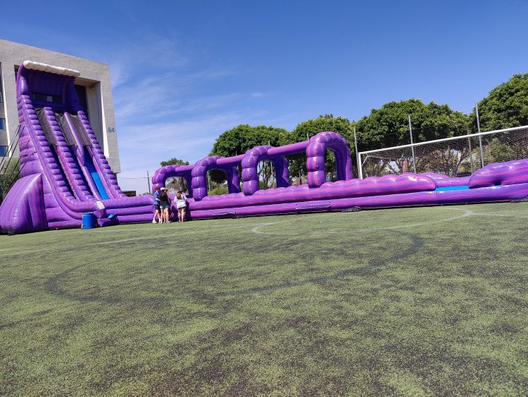 40ft Purple Monster Dual Lane Water Slide