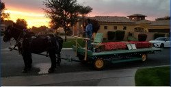 Horse Drawn Hayride