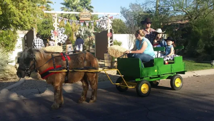 Pony-Drawn Wagon Rides