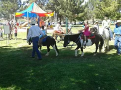 Pony Carousel Ride