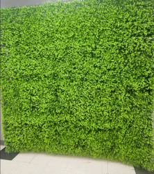 8’ x 8’ Artificial Baby Green Boxwood Garden Wall Backdrop S