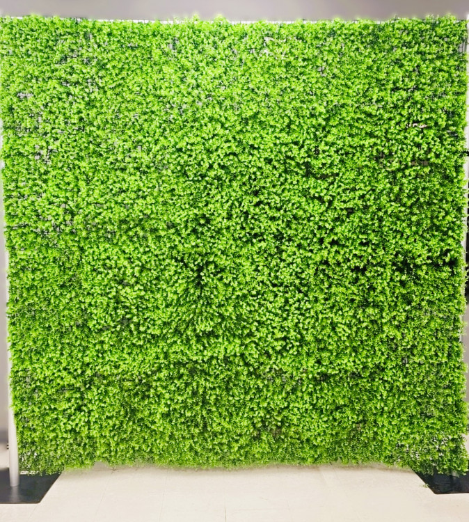 8’ x 8’ Artificial Baby Green Boxwood Garden Wall Backdrop S