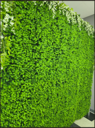 8’ x 8’ Artificial Baby Green Boxwood Garden Wall Backdrop S