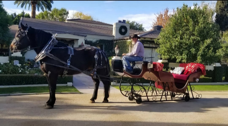 Horse Carriage