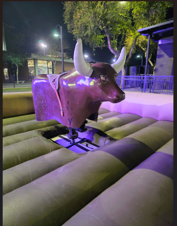 Western Themed Mechanical Bull