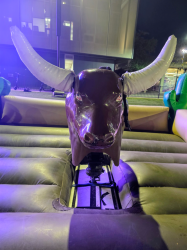 Western Themed Mechanical Bull